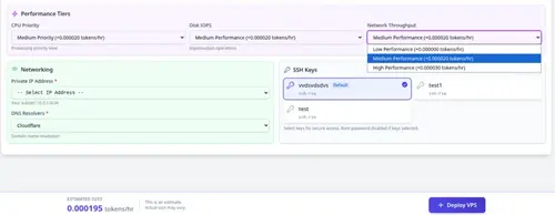 TierHive VPS management